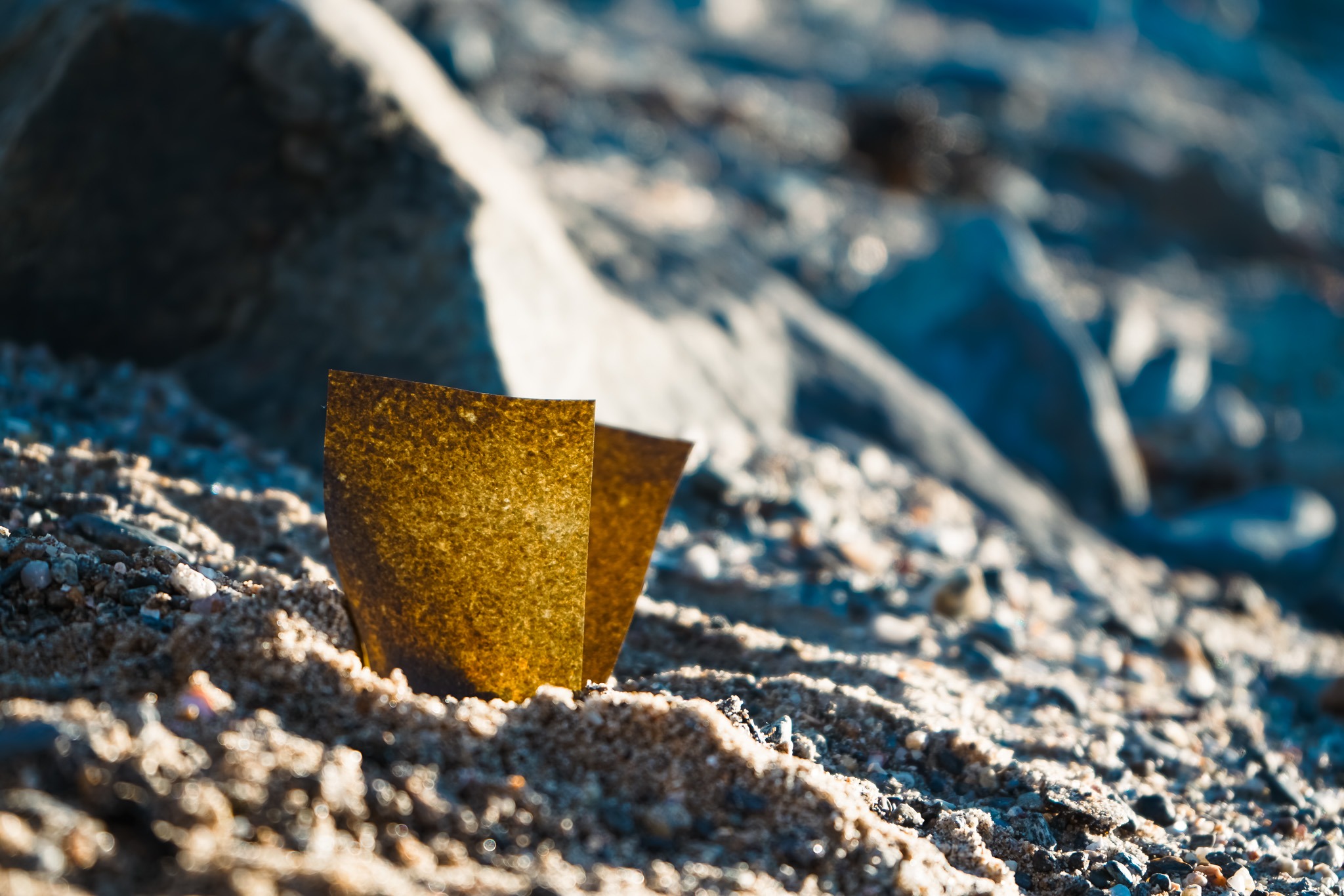 Two mottled paper sheets standing on sunlit coastal rock.